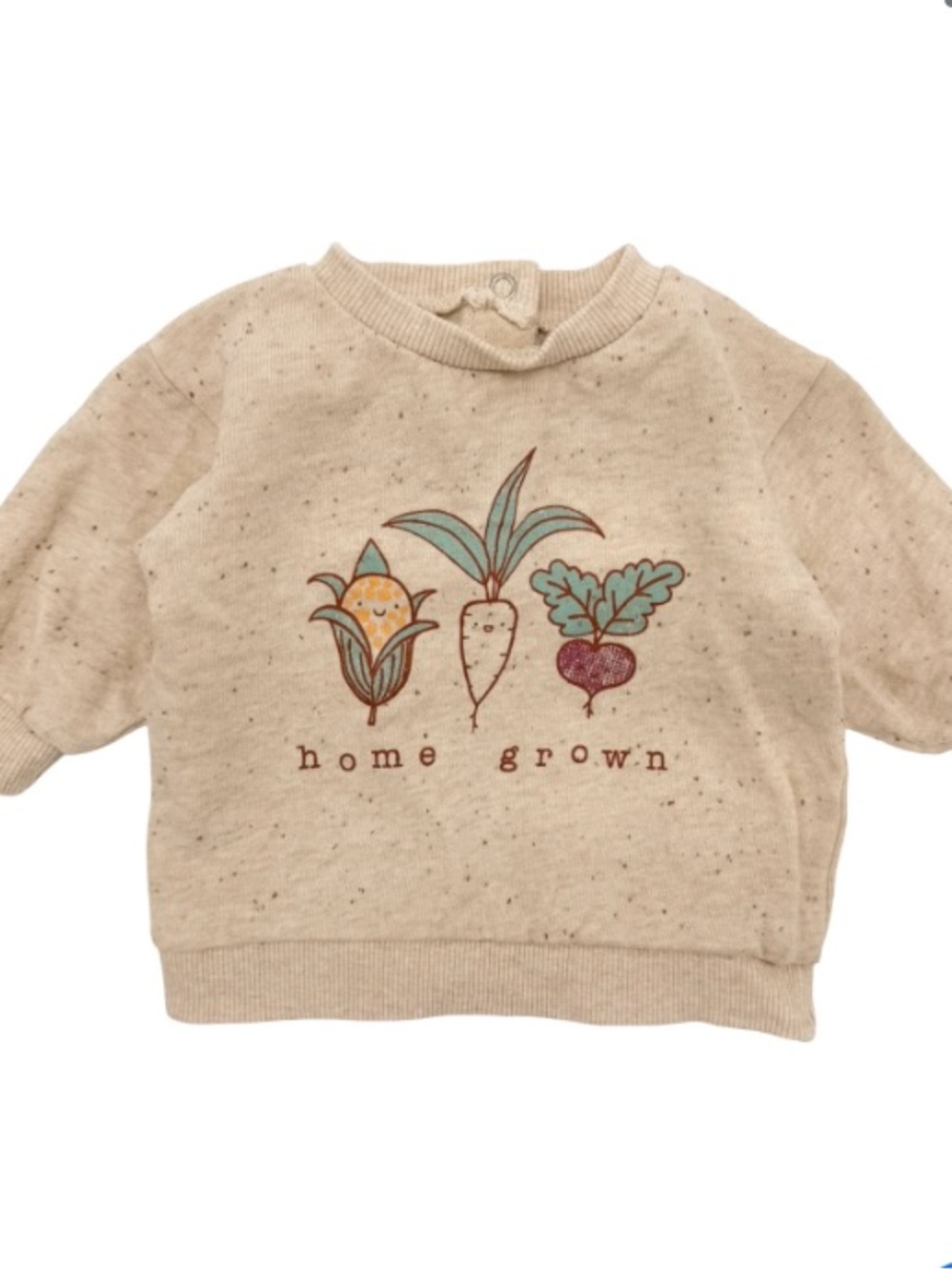 🍊5/$25 Indigo Cream Kids Sweatshirt with Teal & Rust Vegetable Motif